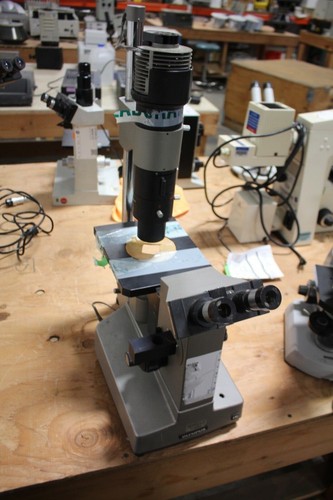Olympus microscope - microscope,