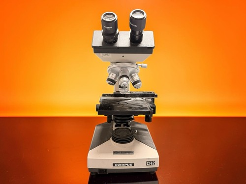 Olympus ch2 cht binocular - olympus,