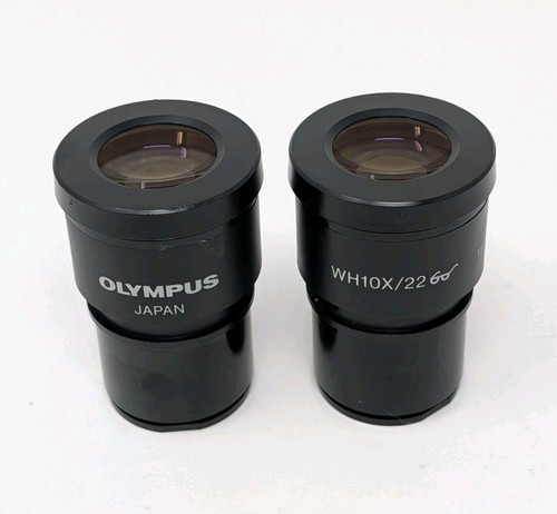 Pair olympus wh10x - olympus,