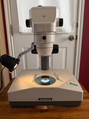 Olympus sz40 stereo - olympus, zoom