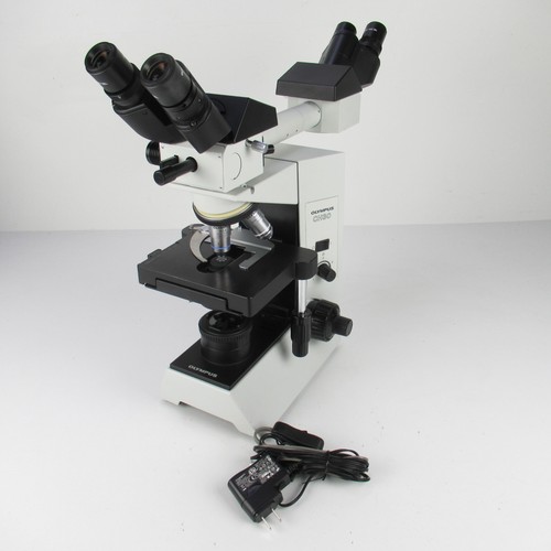 Olympus ch30 face - face, to