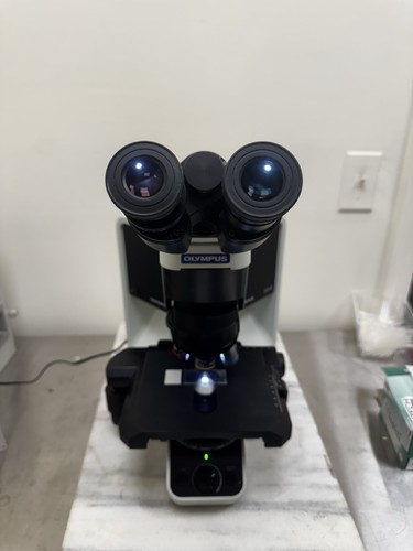Olympus bx46 compound - bx46,