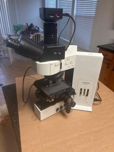 Olympus optical bx60f5 system - olympus,