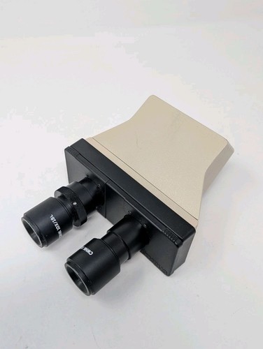 Olympus bi45 microscope - ch-bi45-2,